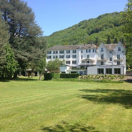 Hotel Et Residence Des Bains Vic-sur-Cère Eksteriør billede